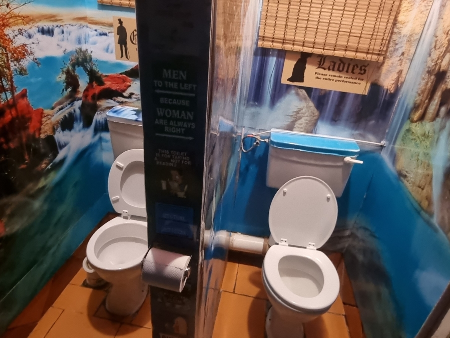 0 Bedroom Property for Sale in Willows Free State